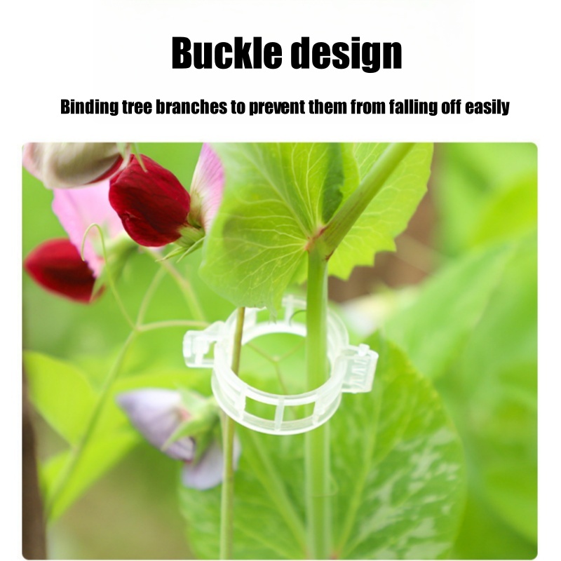 500Pcs Plastic Plant Support C - مراجعة Vine Climbing Plastic وسعره