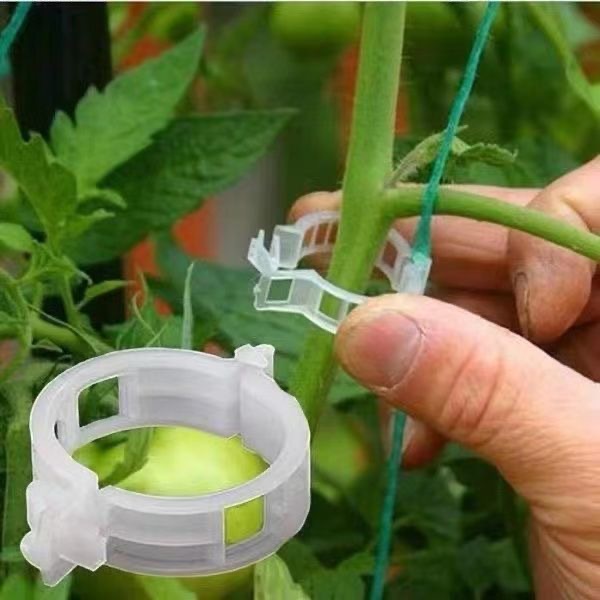 500Pcs Plastic Plant Support C - مراجعة Vine Climbing Plastic وسعره
