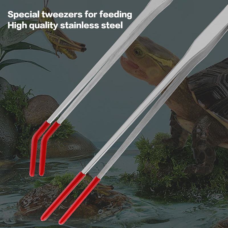 Fish Tank Cleaning Tools Snake - مراجعة Feeding Tong Stainless وسعره