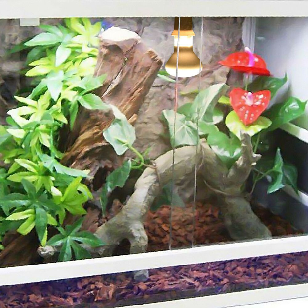 Turtle Temperature Controller  - مراجعة Basking Bulb Halogen وسعره