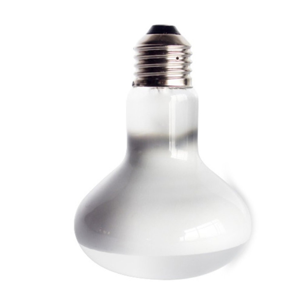 Turtle Temperature Controller  - مراجعة Basking Bulb Halogen وسعره