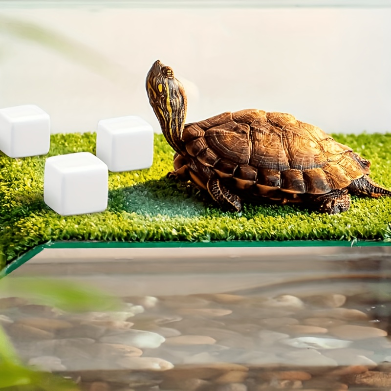 6 Pcs Fish Tank Calcium Block  - مراجعة Calcium Powder Reptile وسعره