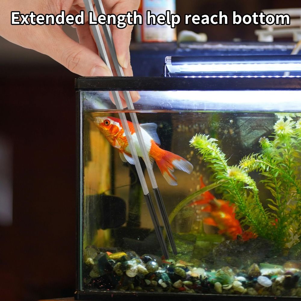 Stainless Steel Aquarium Feedi - مراجعة Feeding Tong Stainless وسعره