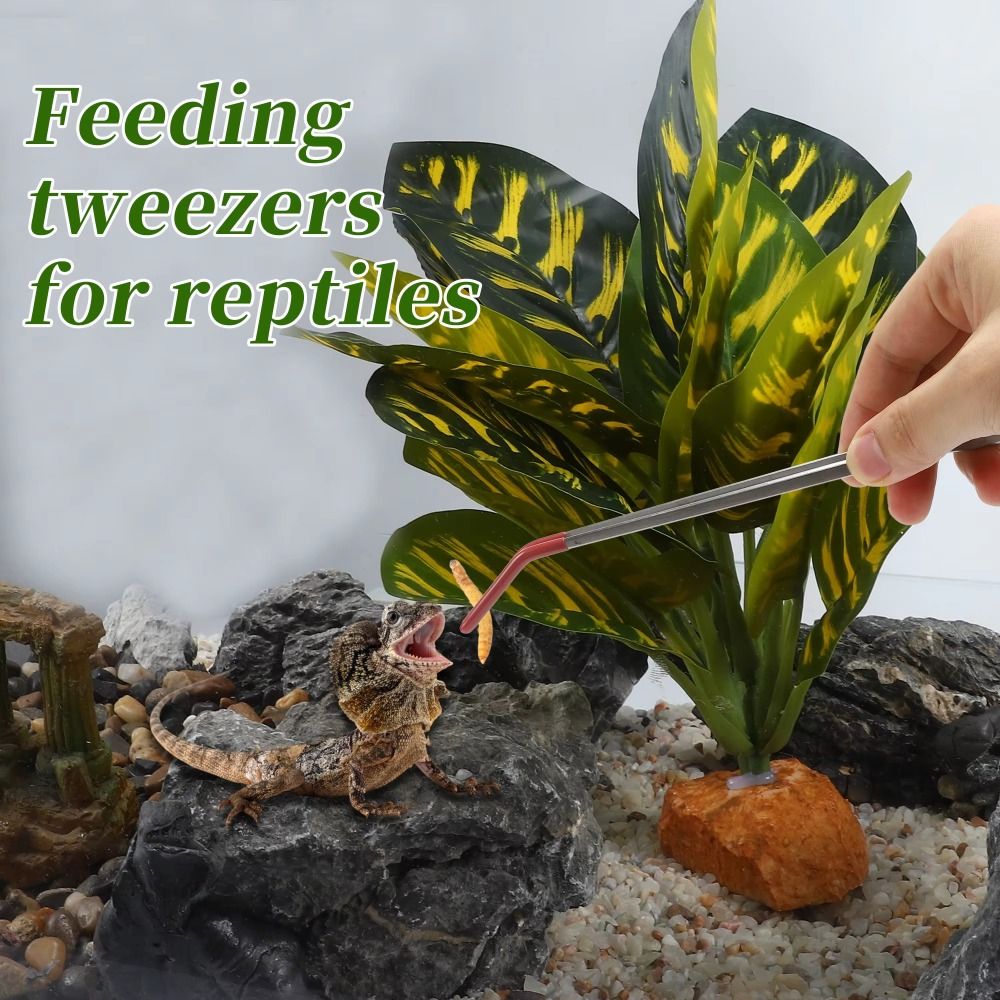Stainless Steel Aquarium Feedi - مراجعة Feeding Tong Stainless وسعره