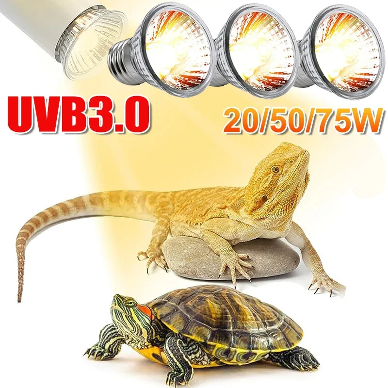 25/50/75W UVB Reptile Lamp Bul - مراجعة Calcium Powder Reptile وسعره