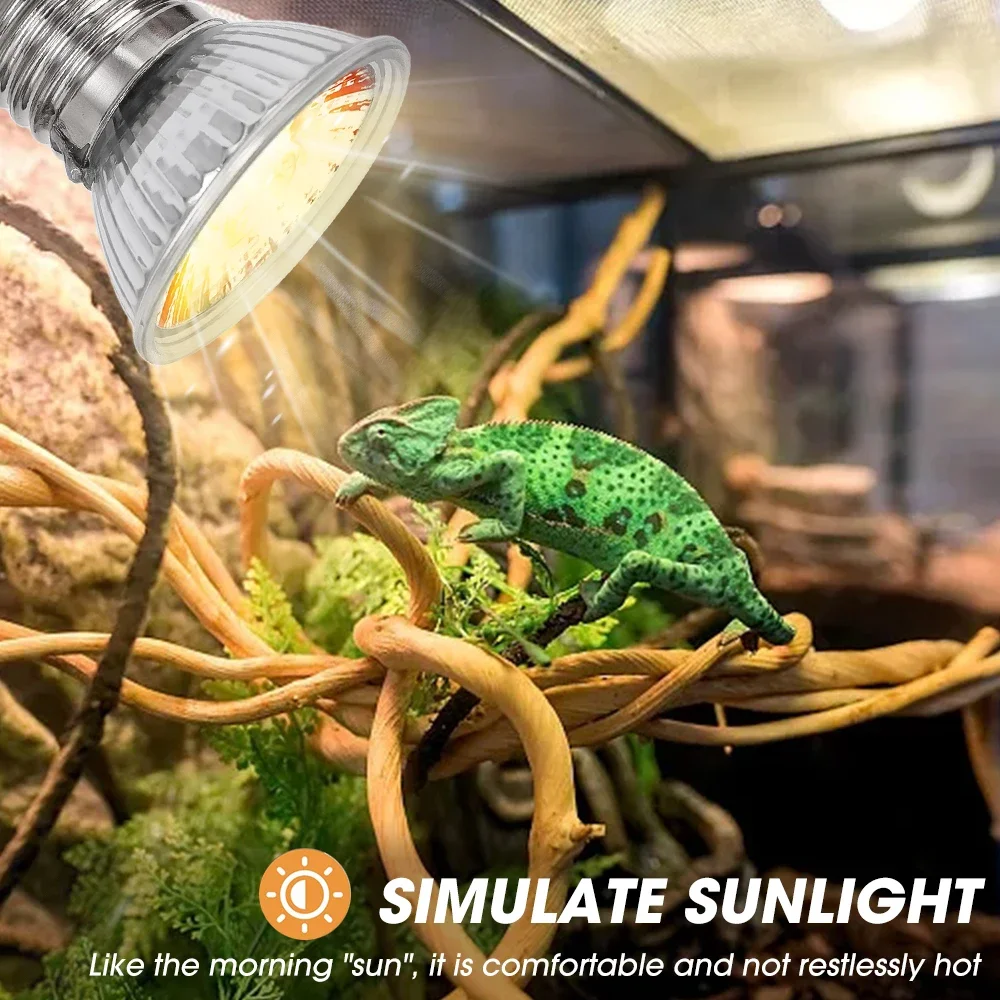25/50/75W UVB Reptile Lamp Bul - مراجعة Calcium Powder Reptile وسعره