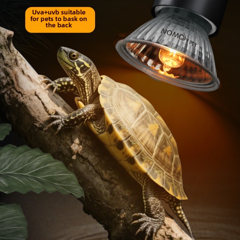 NOMOY 25/50/75w UVB 3.0 Reptil - مراجعة Vitamin D3 Reptile وسعره