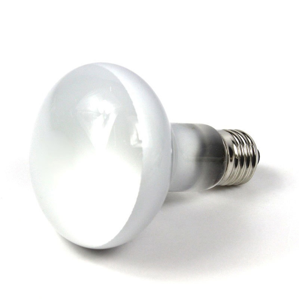 Lizard Heater Temperature Cont - مراجعة Basking Bulb Halogen وسعره