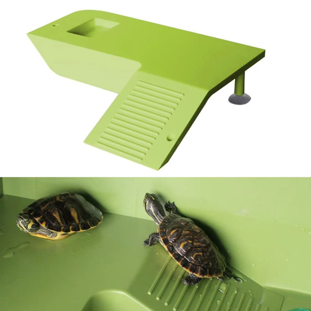 Water Land Slope Box Feeding C - مراجعة Water Dish Reptile وسعره