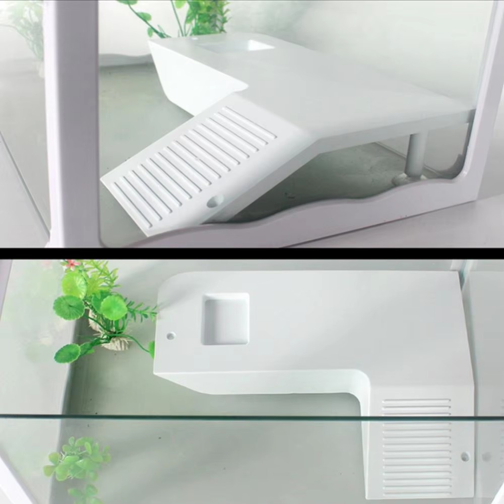Water Land Slope Box Feeding C - مراجعة Water Dish Reptile وسعره