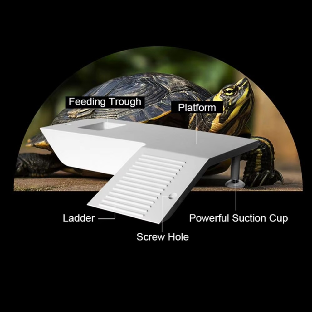 Water Land Slope Box Feeding C - مراجعة Water Dish Reptile وسعره