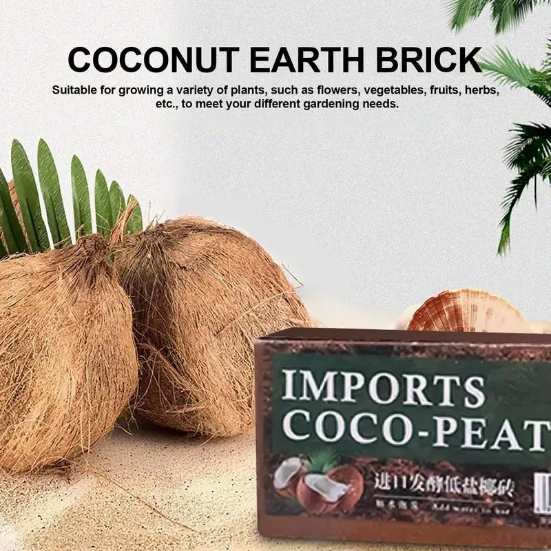 Reptile Coconut Soil Natural C - مراجعة Substrate Coconut Fiber وسعره