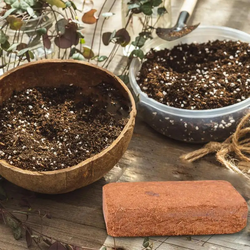 Reptile Coconut Soil Natural C - مراجعة Substrate Coconut Fiber وسعره