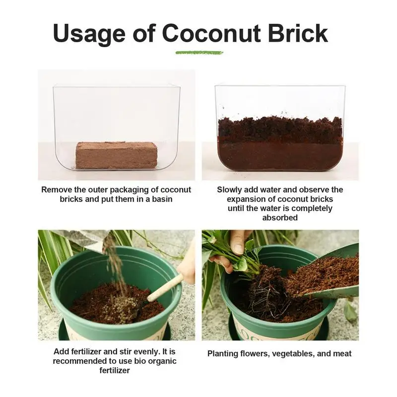 Reptile Coconut Soil Natural C - مراجعة Substrate Coconut Fiber وسعره