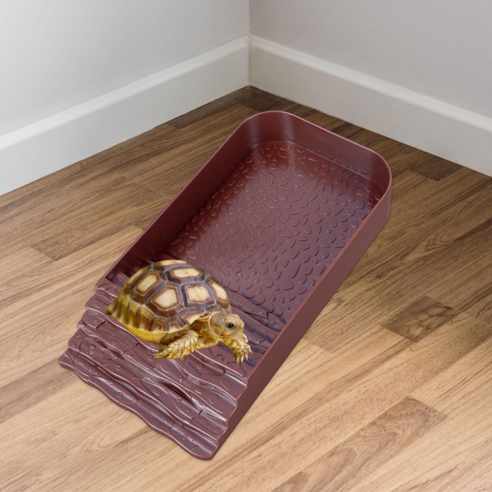 Reptile Water Bowl Accessories - مراجعة Water Dish Reptile وسعره