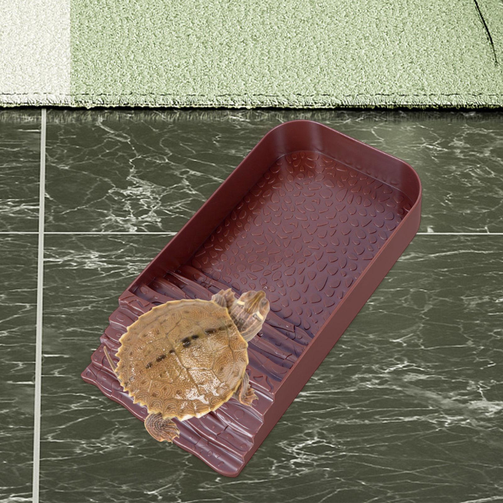 Reptile Water Bowl Accessories - مراجعة Water Dish Reptile وسعره