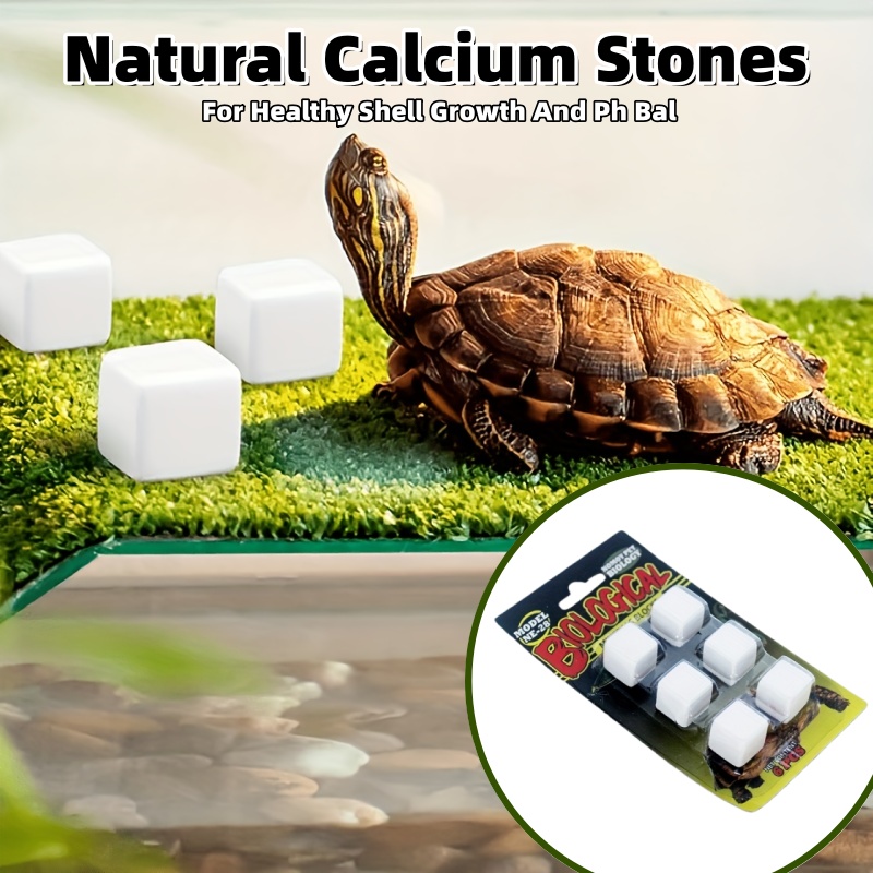6 Pcs Fish Tank Calcium Block  - مراجعة Calcium Powder Reptile وسعره