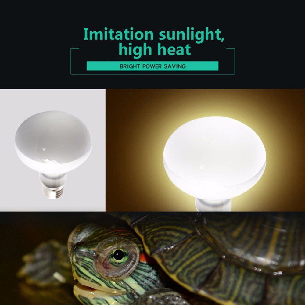 Amphibians Heat Lamp Temperatu - مراجعة Basking Bulb Halogen وسعره