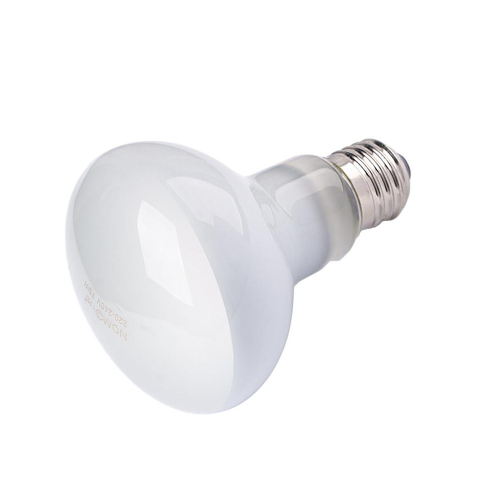 Amphibians Heat Lamp Temperatu - مراجعة Basking Bulb Halogen وسعره