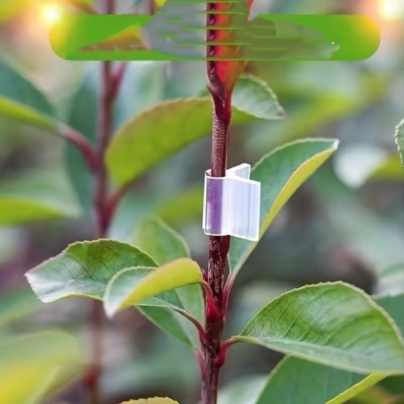 50pcs Agriculture Grafting Cli - مراجعة Vine Climbing Plastic وسعره