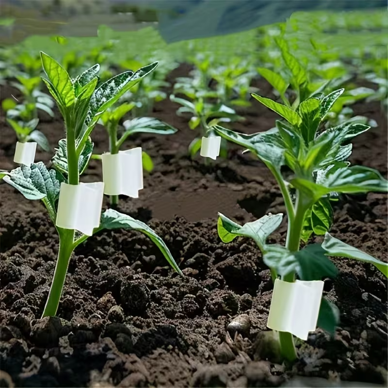 50pcs Agriculture Grafting Cli - مراجعة Vine Climbing Plastic وسعره