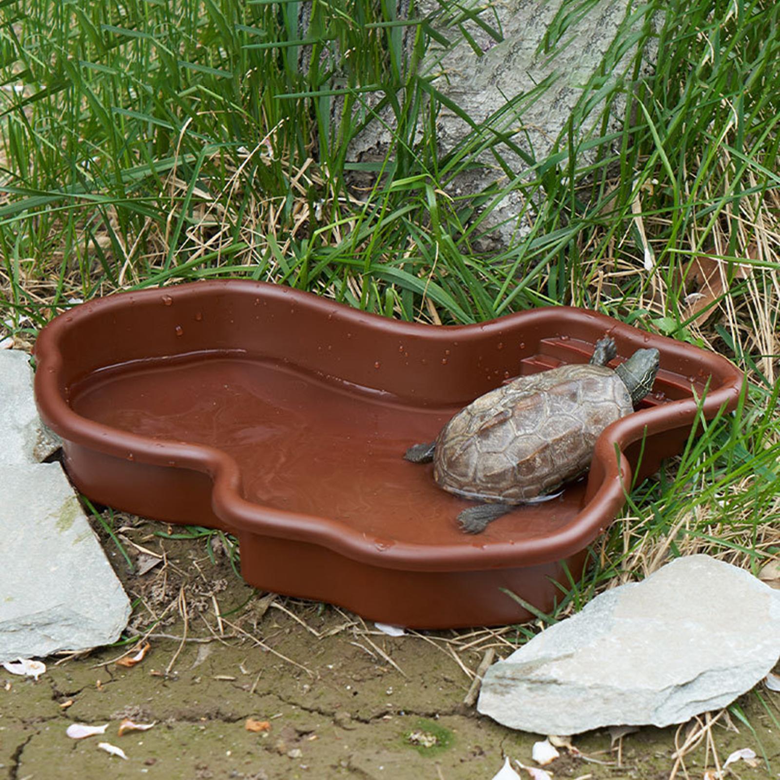 Reptile Bathing Pool Amphibian - مراجعة Water Dish Reptile وسعره