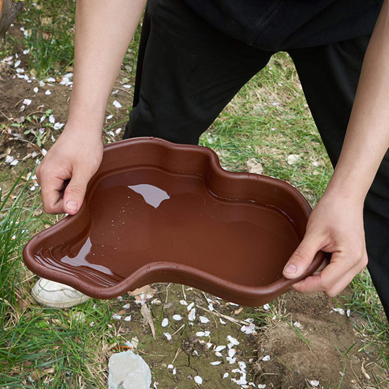Reptile Bathing Pool Amphibian - مراجعة Water Dish Reptile وسعره