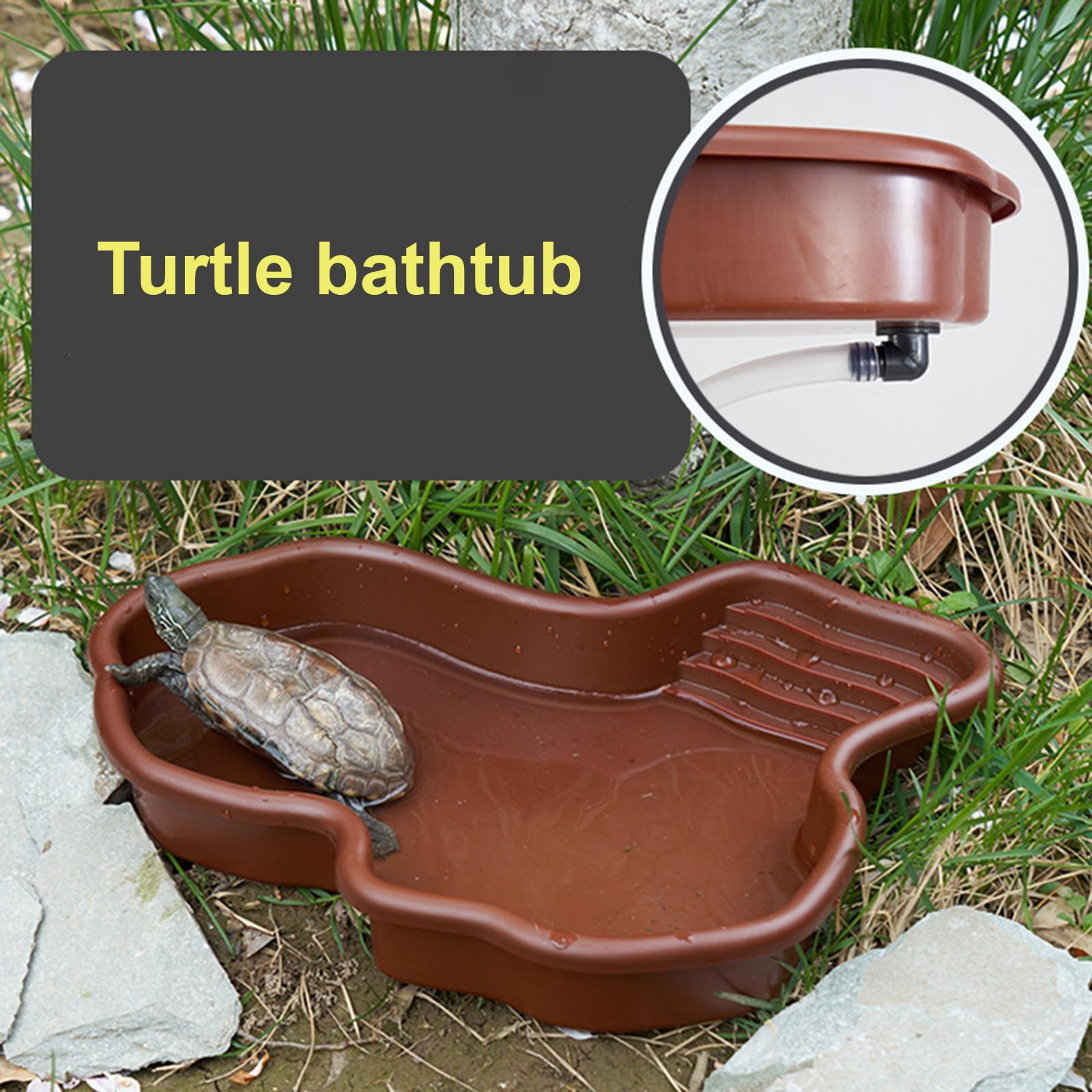Reptile Bathing Pool Amphibian - مراجعة Water Dish Reptile وسعره