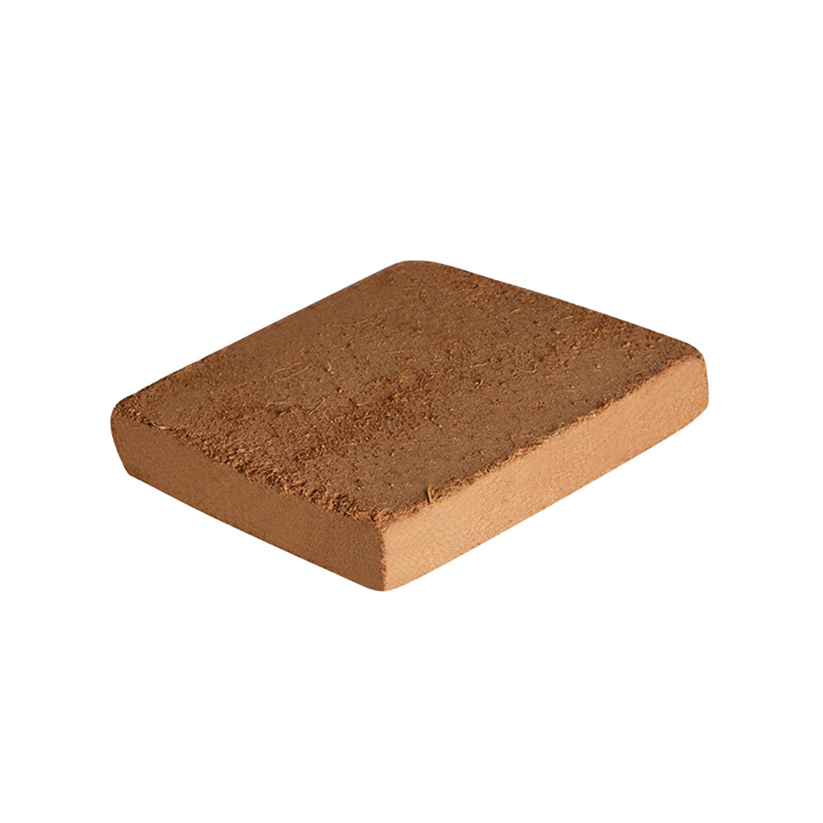 Soil Coconut Fibre Terrarium S - مراجعة Substrate Coconut Fiber وسعره