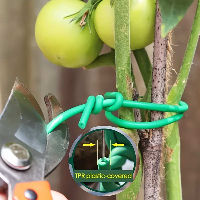 1Roll Heavy-Duty Garden Cable  - مراجعة Vine Climbing Plastic وسعره