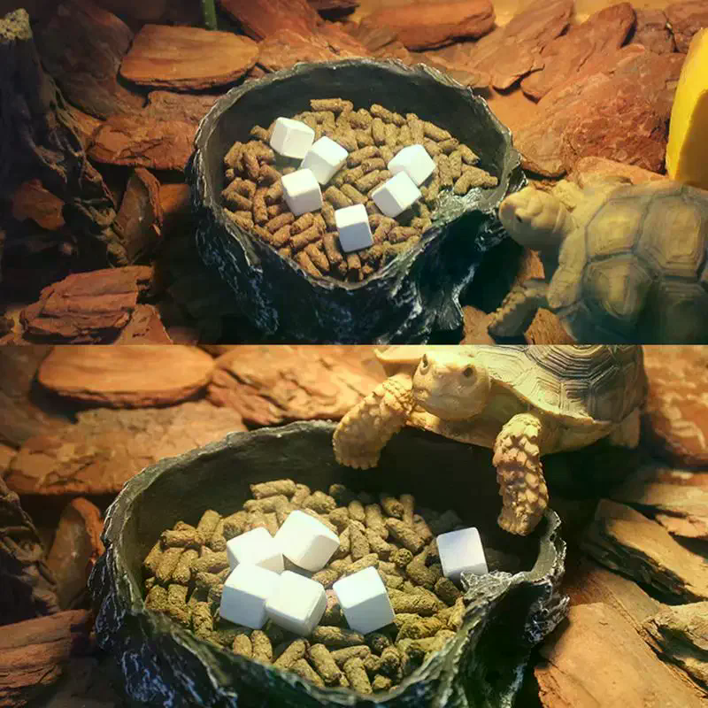 Slow Release Calcium Mineral B - مراجعة Calcium Powder Reptile وسعره