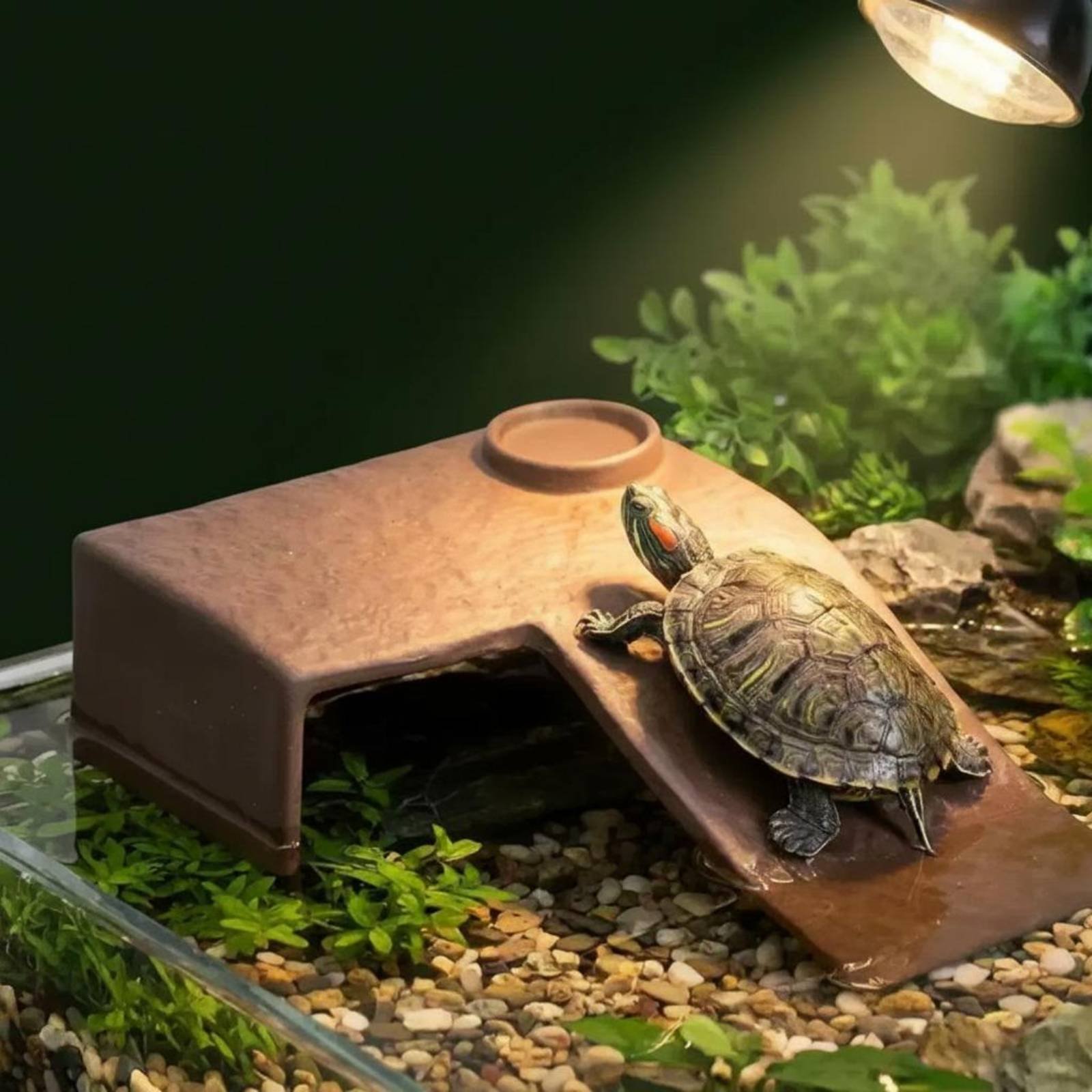 2 Pieces Turtle Basking Dock E - مراجعة Hide Cave Ceramic وسعره