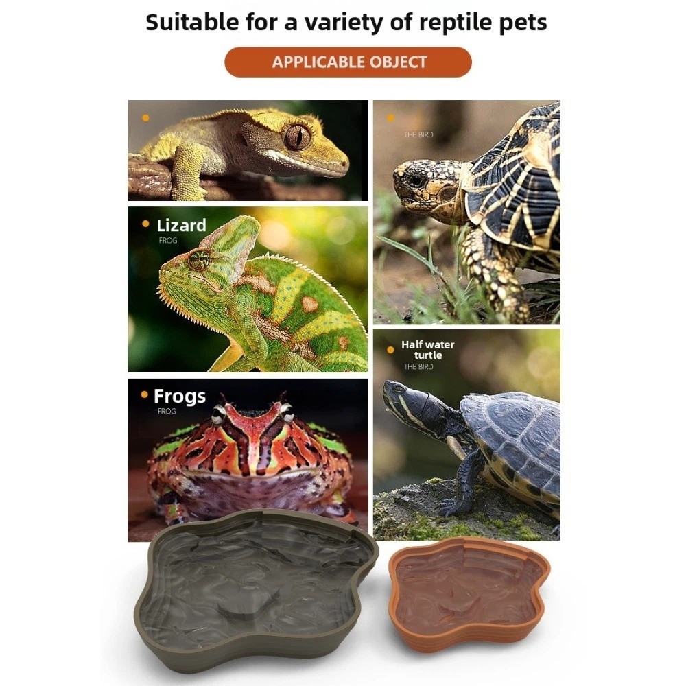 New Plastic Turtle Water Basin - مراجعة Water Dish Reptile وسعره
