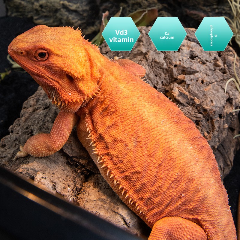 SuperRep Reptile Calcium Pro-V - مراجعة Vitamin D3 Reptile وسعره