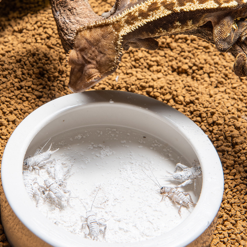 SuperRep Reptile Calcium Pro-V - مراجعة Vitamin D3 Reptile وسعره