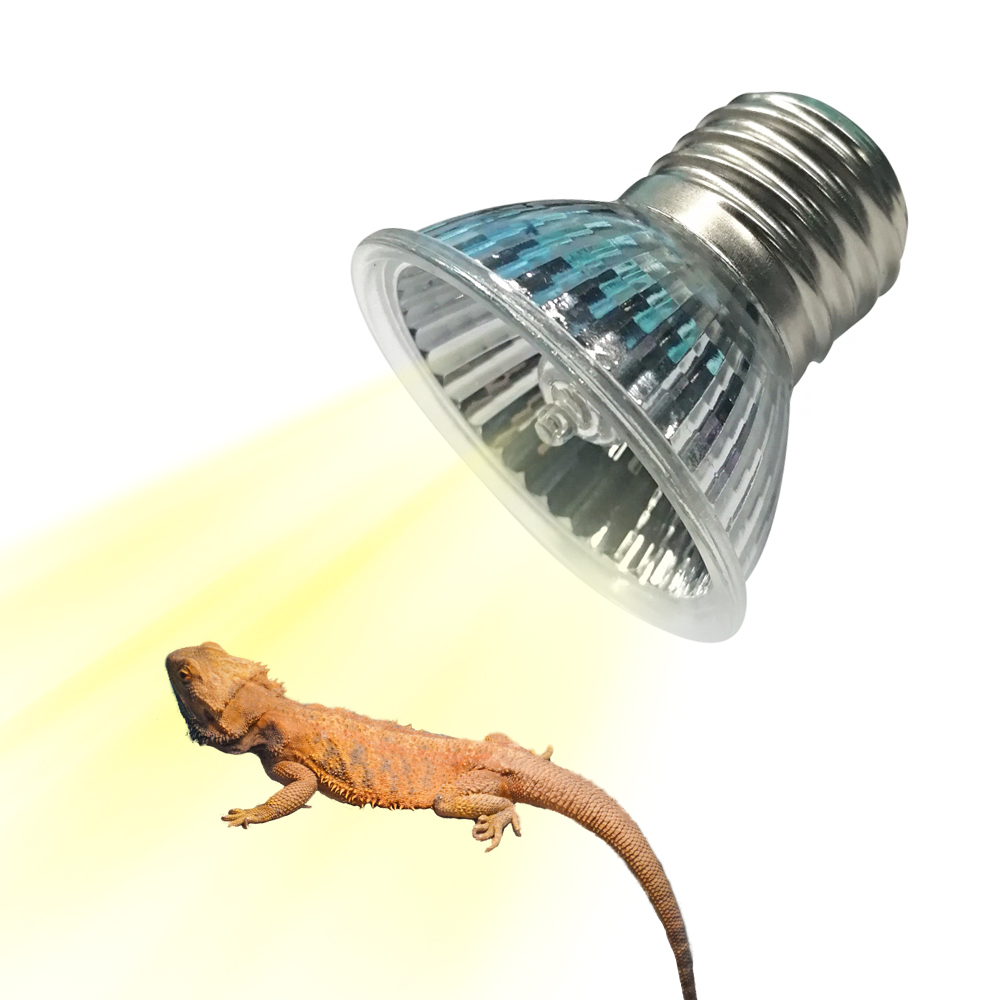 25W/75W/100W Full Spectrum UVA - مراجعة Calcium Powder Reptile وسعره