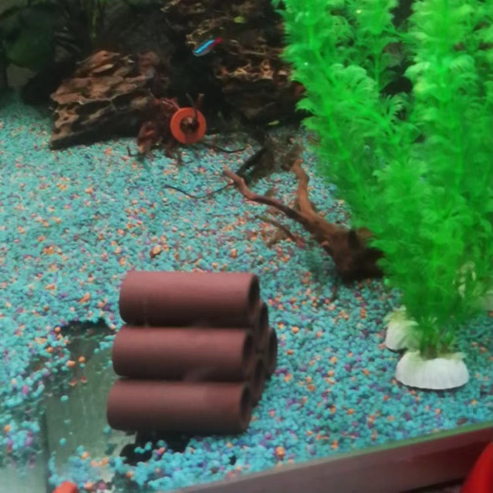 Playing Breeding Spawning Aqua - مراجعة Hide Cave Ceramic وسعره