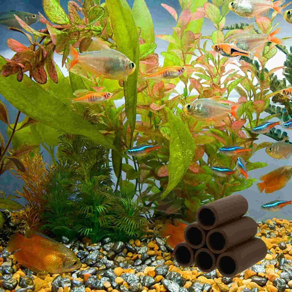 Playing Breeding Spawning Aqua - مراجعة Hide Cave Ceramic وسعره