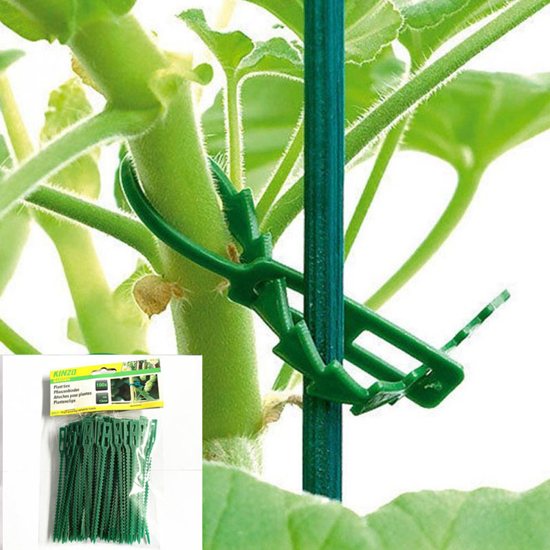 13cm Adjustable Plastic Plant  - مراجعة Vine Climbing Plastic وسعره