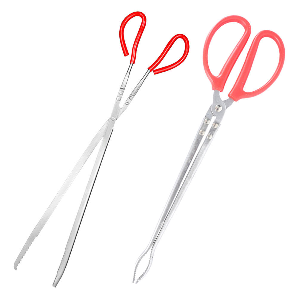 2Pcs Stainless Steel Snake Ton - مراجعة Feeding Tong Stainless وسعره