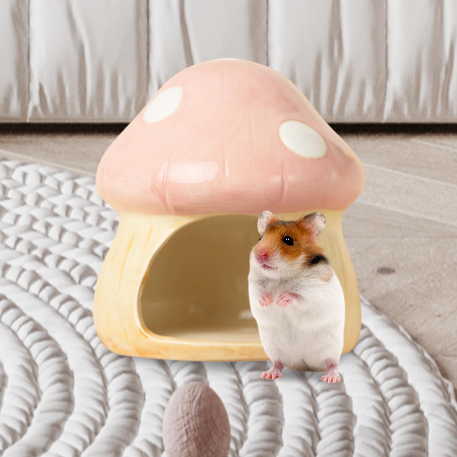 Ceramic Mushroom Hamster Hideo - مراجعة Hide Cave Ceramic وسعره