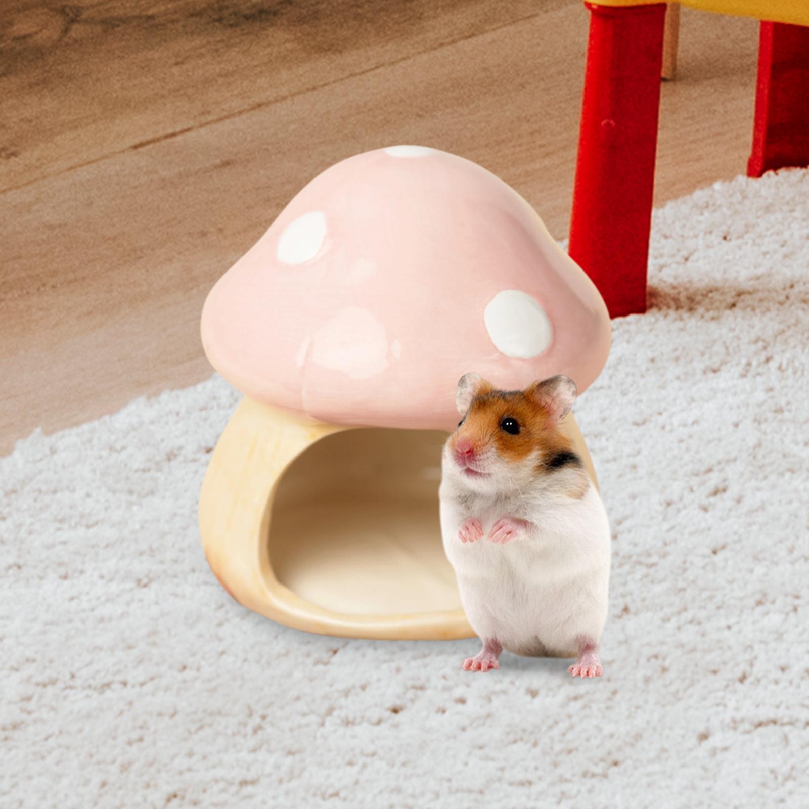 Ceramic Mushroom Hamster Hideo - مراجعة Hide Cave Ceramic وسعره