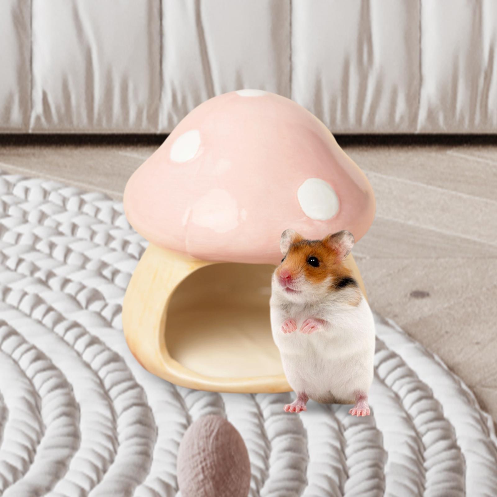 Ceramic Mushroom Hamster Hideo - مراجعة Hide Cave Ceramic وسعره