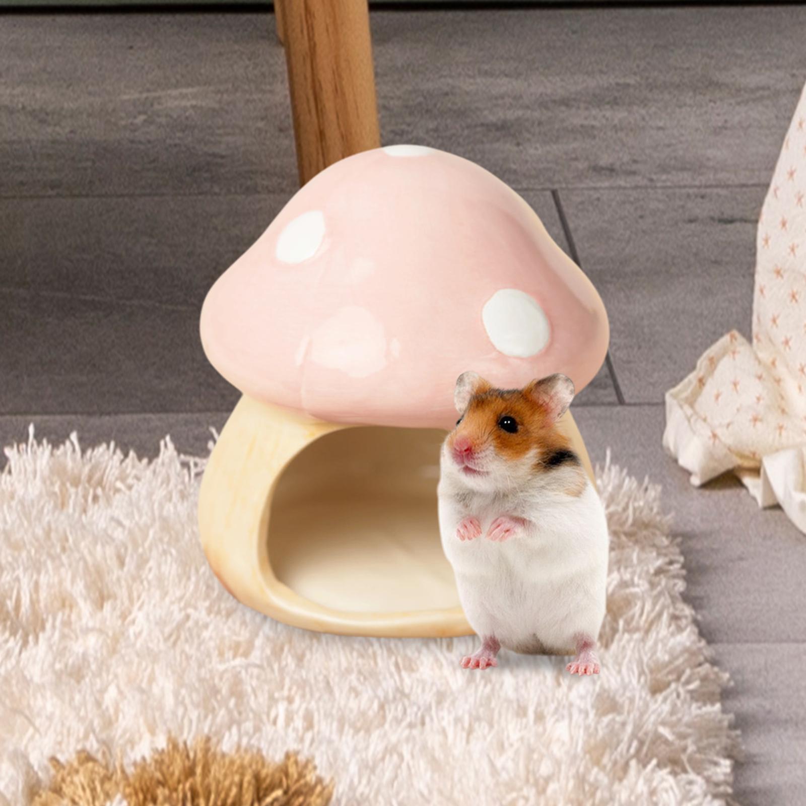 Ceramic Mushroom Hamster Hideo - مراجعة Hide Cave Ceramic وسعره