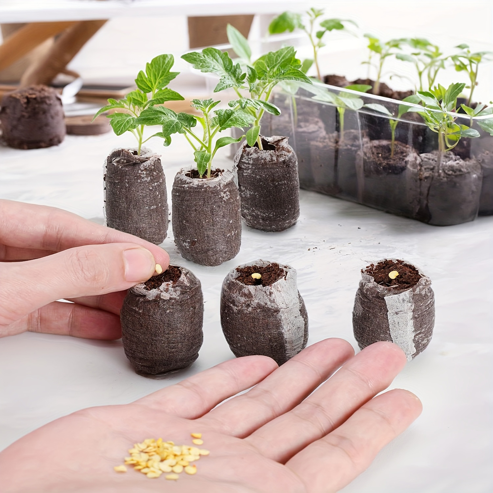 10/20/50pcs Plant Growth Bags  - مراجعة Substrate Coconut Fiber وسعره