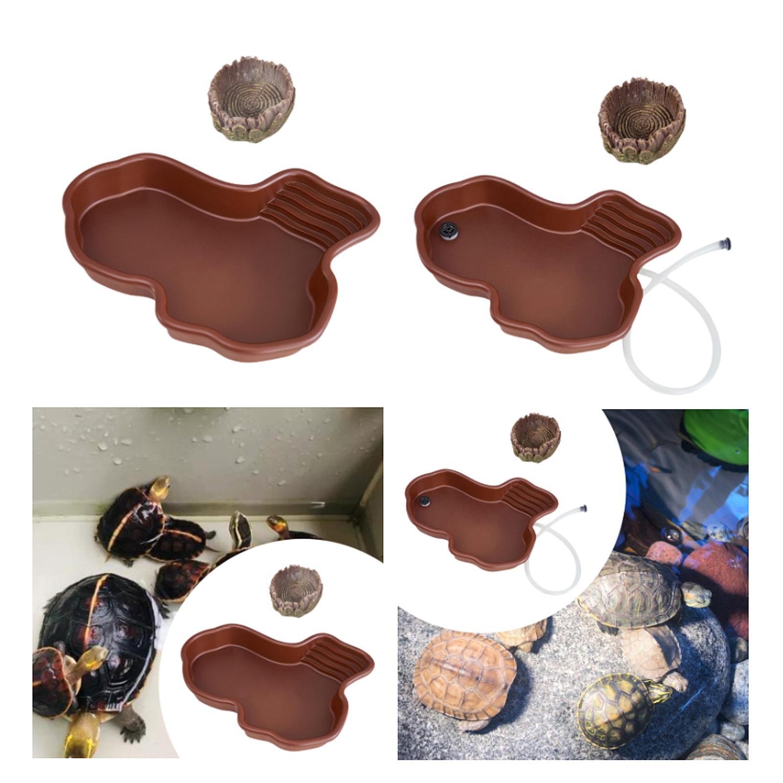 Reptile Feeding Dish Reptile B - مراجعة Water Dish Reptile وسعره