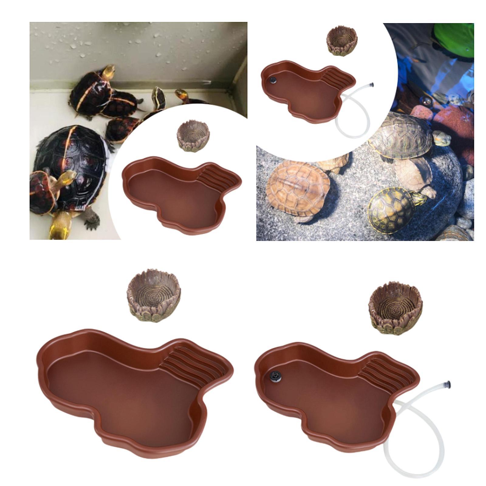 Reptile Feeding Dish Reptile B - مراجعة Water Dish Reptile وسعره