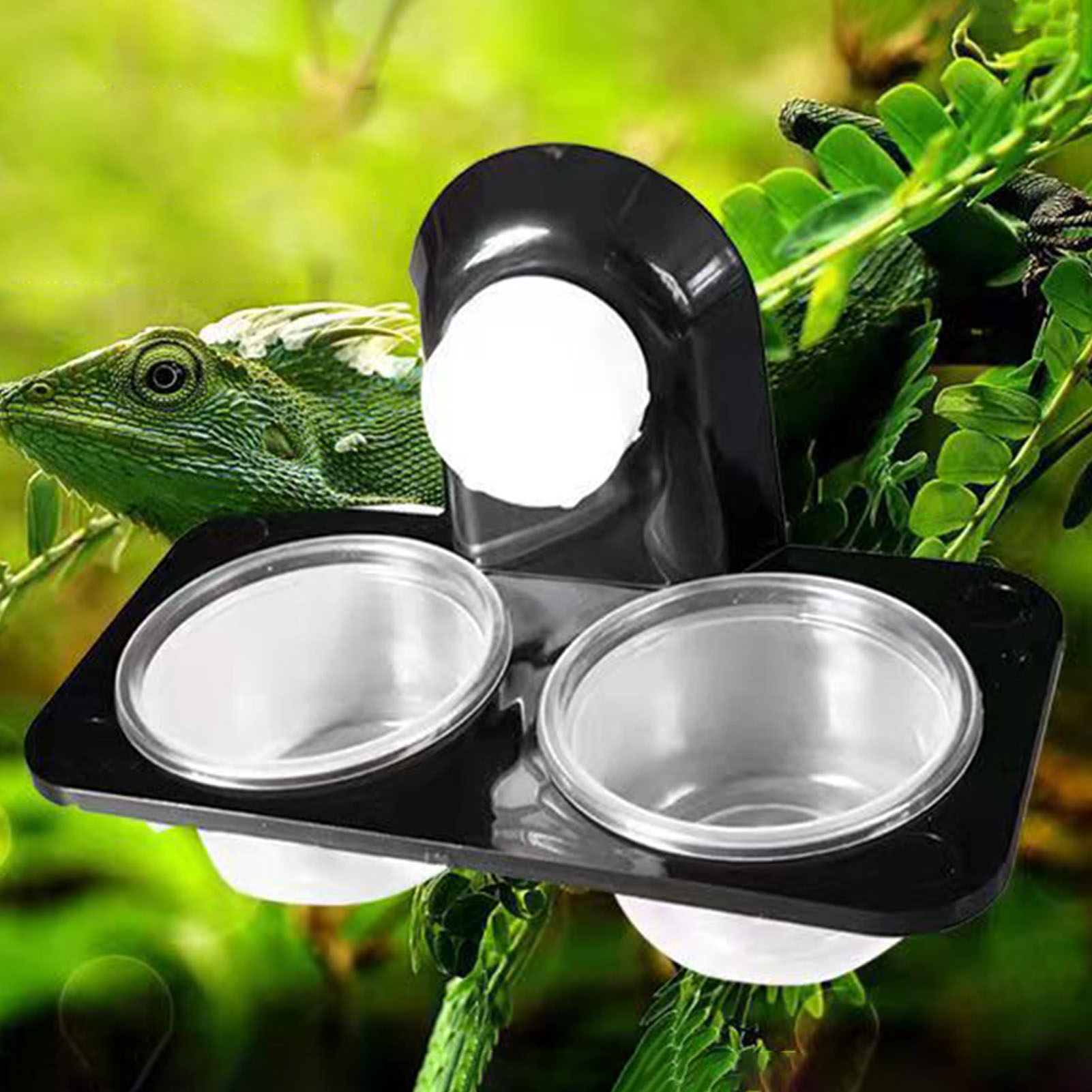 Crested Gecko Feeding Ledge Re - مراجعة Water Dish Reptile وسعره