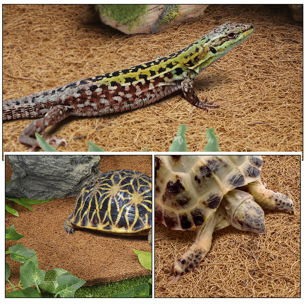 Reptile Terrarium Carpet Natur - مراجعة Substrate Coconut Fiber وسعره
